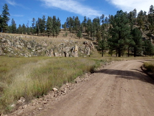 GDMBR: Riding north on NF-28, La Jolla Canyon, Gila NF, NM.